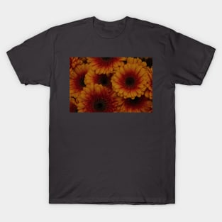 The Power of a Flower T-Shirt